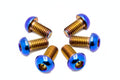 Titanium Controller Mount Bolts for E-moto
