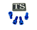 Titanium Peg Bracket Bolts - E-moto