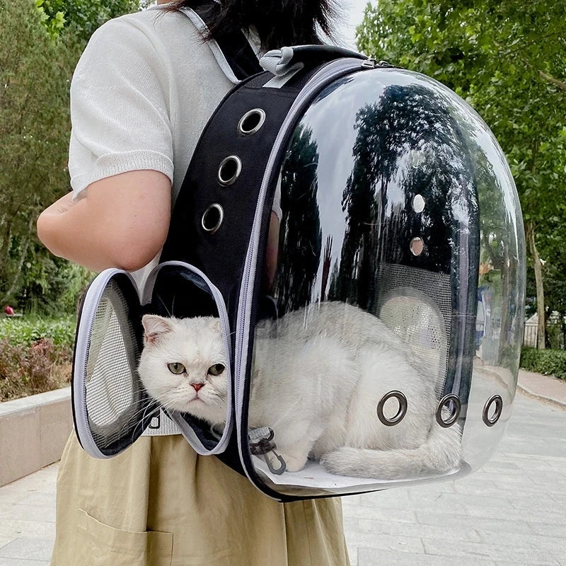 Transparent Bubble Pet Backpack Carrier — Space Capsule Design with Ventilation & Side Pocket | 35 x 25 x 42 cm (13.8 x 9.8 x 16.5 in) — For Cats & Small Dogs - PhishStones Products