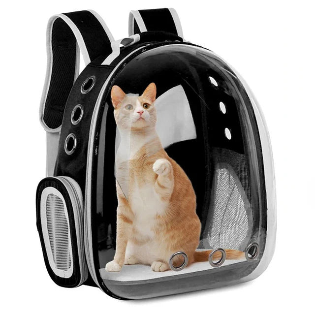 Transparent Bubble Pet Backpack Carrier — Space Capsule Design with Ventilation & Side Pocket | 35 x 25 x 42 cm (13.8 x 9.8 x 16.5 in) — For Cats & Small Dogs - PhishStones Products