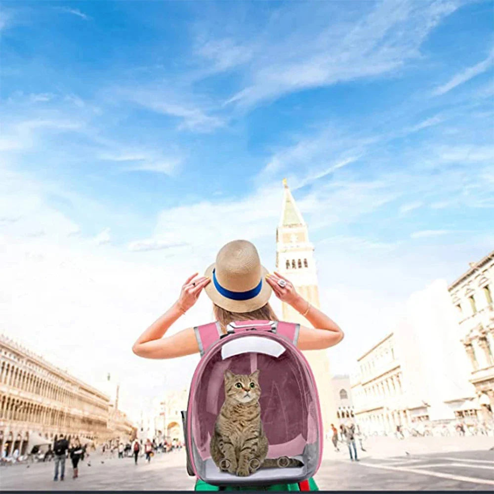 Transparent Bubble Pet Carrier Backpack for Cats & Small Pets, Breathable Travel Carrier with Zipper - PhishStones Products