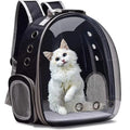 Transparent Bubble Pet Carrier Backpack for Cats & Small Pets, Breathable Travel Carrier with Zipper - PhishStones Products