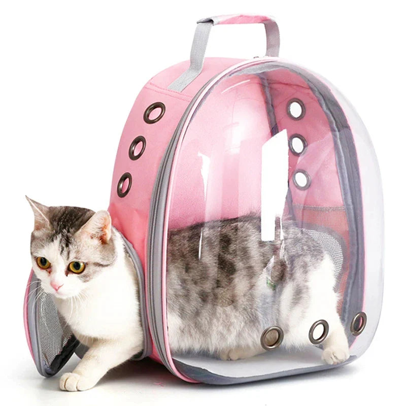 Transparent Bubble Pet Carrier Backpack for Cats & Small Pets, Breathable Travel Carrier with Zipper - PhishStones Products
