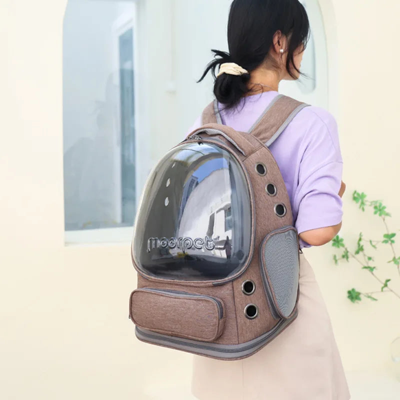 Transparent Foldable Pet Carrier Backpack – 42 x 27 x 34 cm (16.5 x 10.6 x 13.4 in) Clear Cat & Small Dog Travel Bag with Shoulder Strap - PhishStones Products