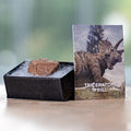 Terrific Triceratops Frill Pocket Fossil