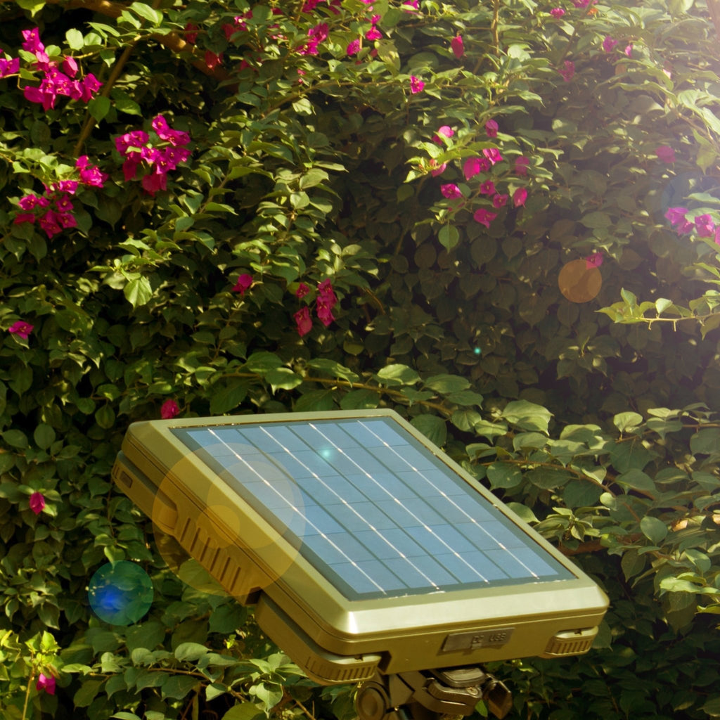 TRU De - LIGHT WHITENIGHT Multipurpose Solar / AC / DC - Garden, Camping Main Light + 3 Independent Detachable Multi Mode Side Lights / Tripod + Carrying Bag - PhishStones Products