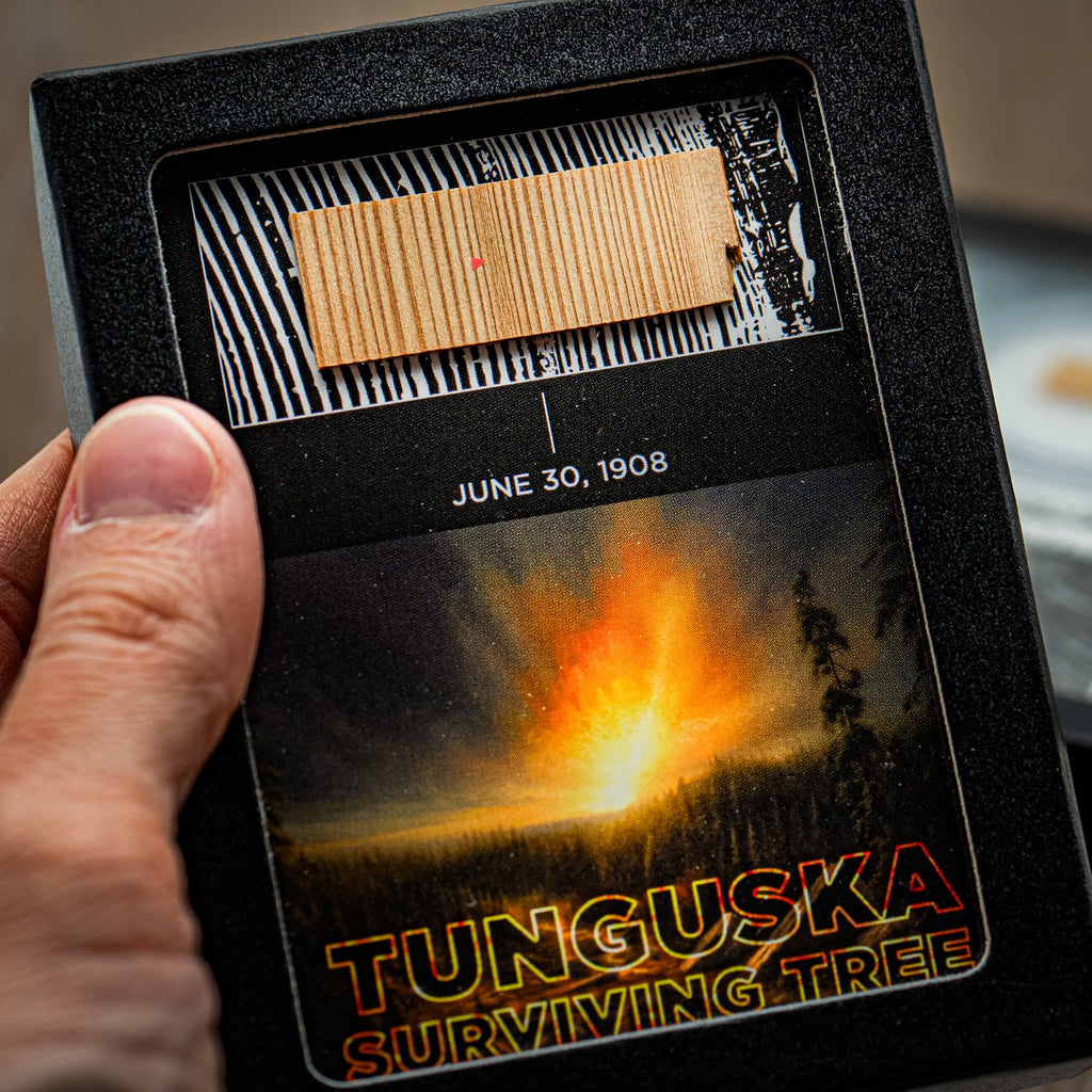 Tunguska Event - Surviving Tree