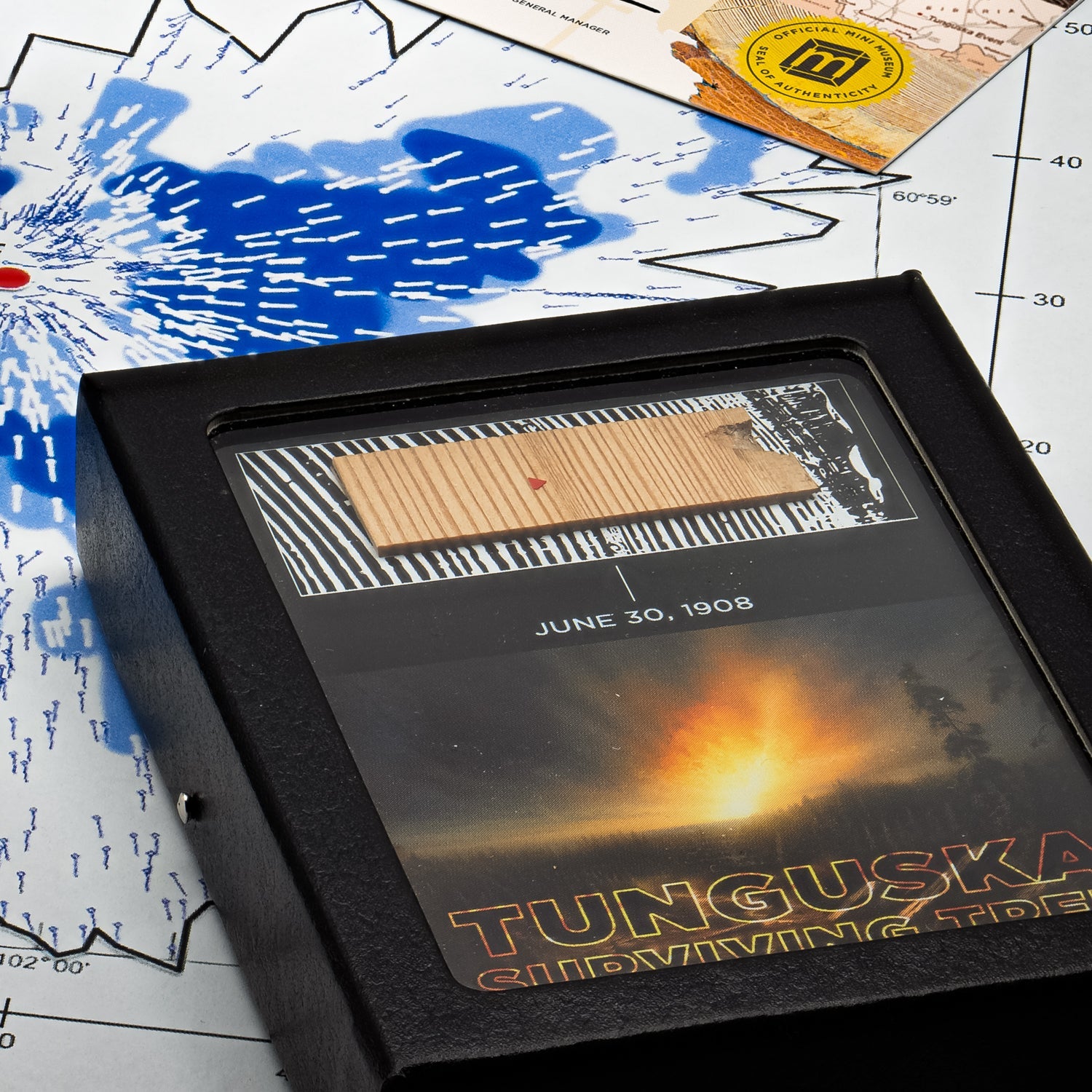 Tunguska Event - Surviving Tree