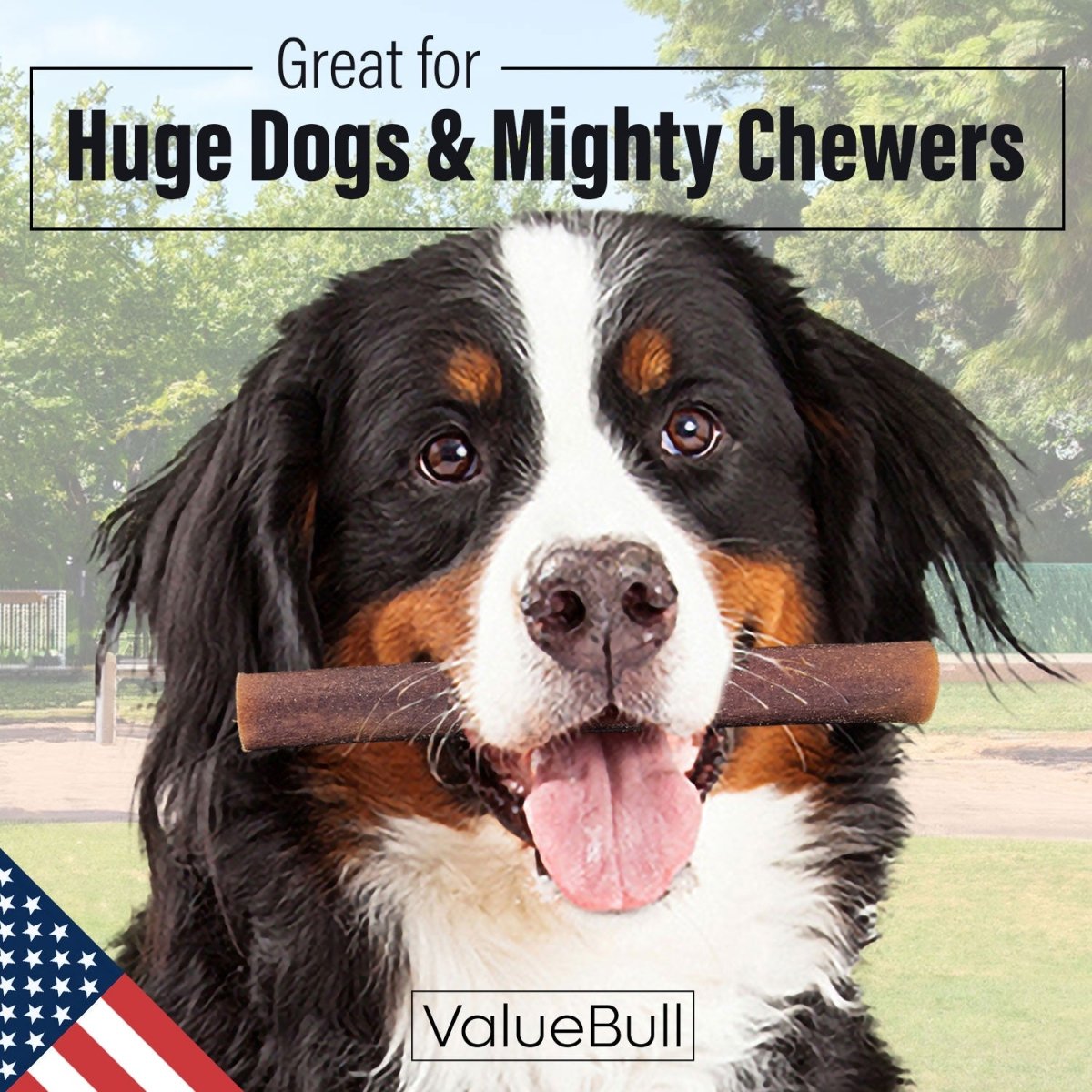 ValueBull USA Collagen Sticks for Dogs, 6 Inch Super Jumbo Chews, Natural Long-Lasting Dog Treats, 25 Count
