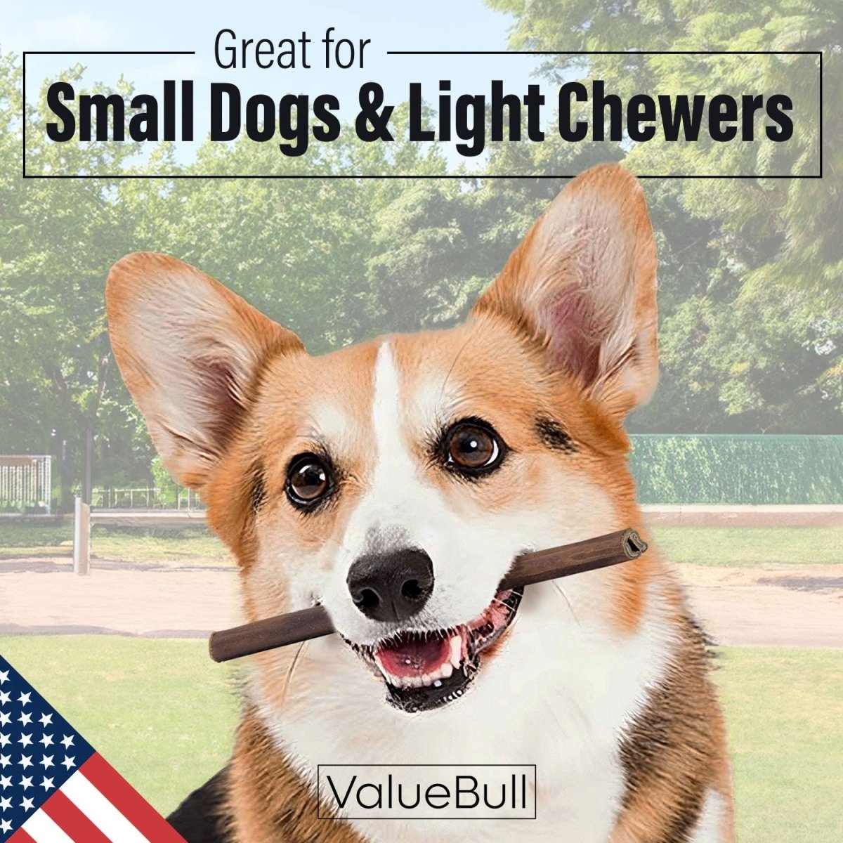 ValueBull USA Collagen Sticks for Small Dogs, 6 Inch Thin Chews, Natural Dog Treats, 50 Count