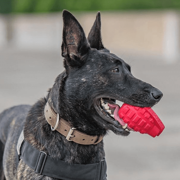 USA - K9 Grenade Shaped eDispenser Durable Dog Chew Toy & Treat Dispenser - Magnum Black - PhishStones Products