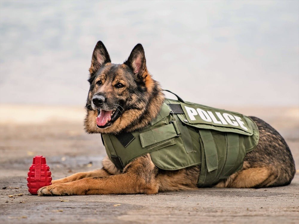 USA - K9 Grenade Shaped eDispenser Durable Dog Chew Toy & Treat Dispenser - Magnum Black - PhishStones Products