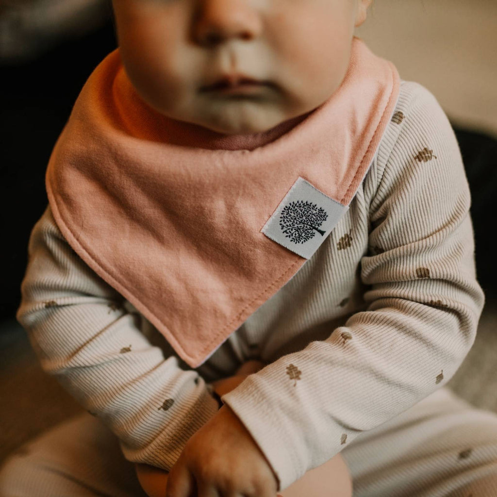 Vail Bandana Bib Set (8 pack) - PhishStones Products