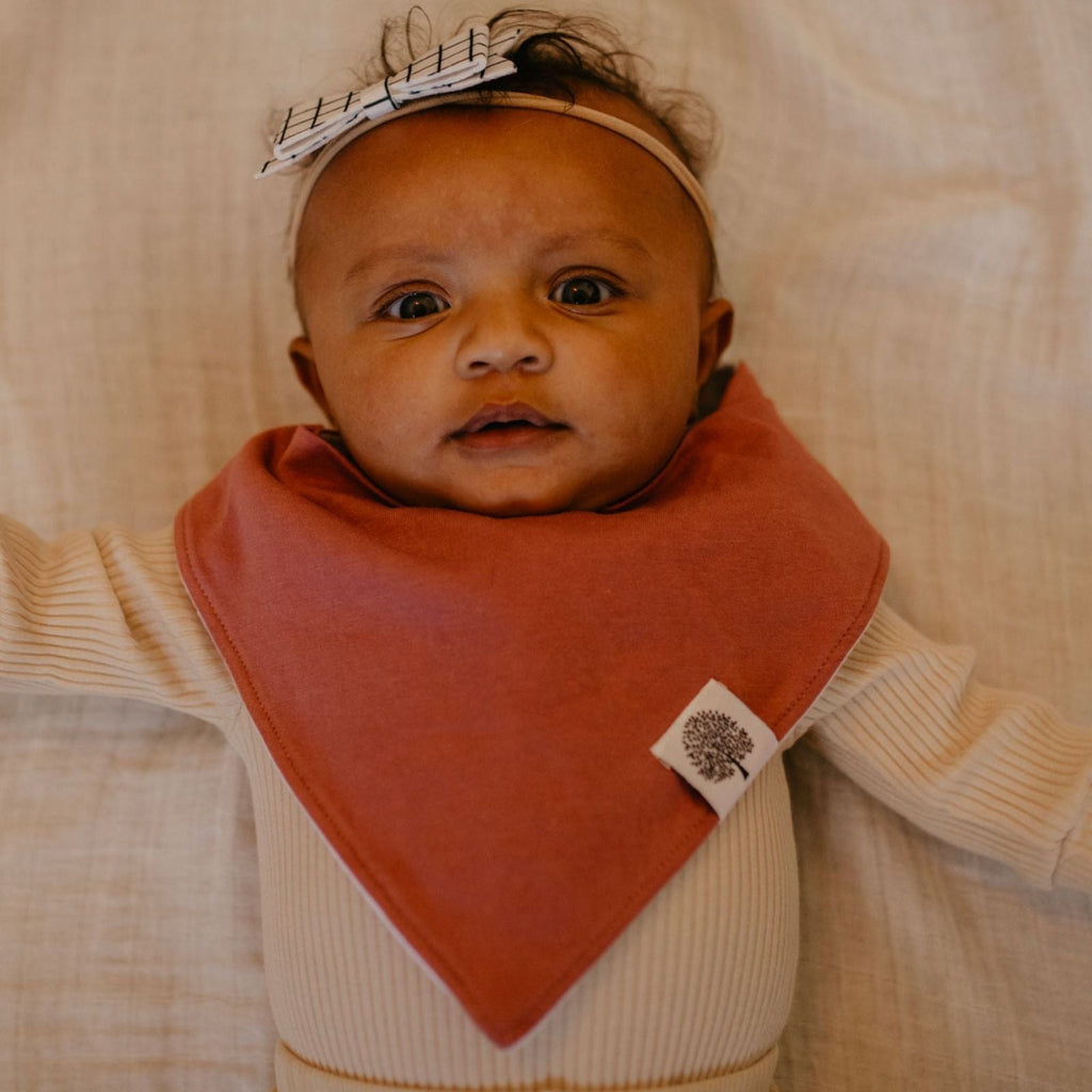 Vail Bandana Bib Set (8 pack) - PhishStones Products