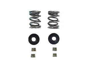 Dyno High-Performance 36# Dual Valve Spring Kit for Modified Honda Clone Engines