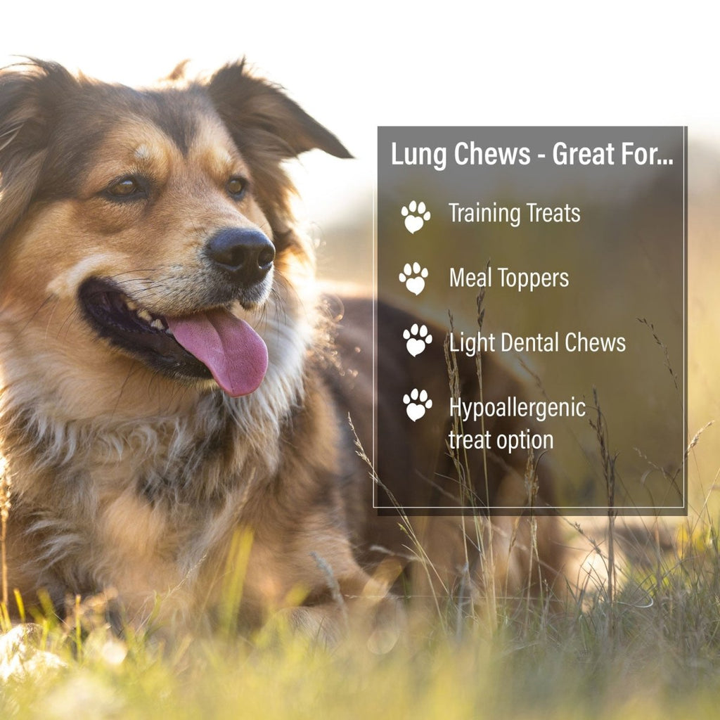 ValueBull Beef Lung Wafers, Premium 4 Pounds