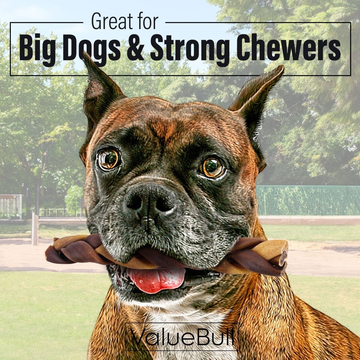 ValueBull Beef Collagen Braids for Dogs, 6 Inch Thick Chews, 10 Count