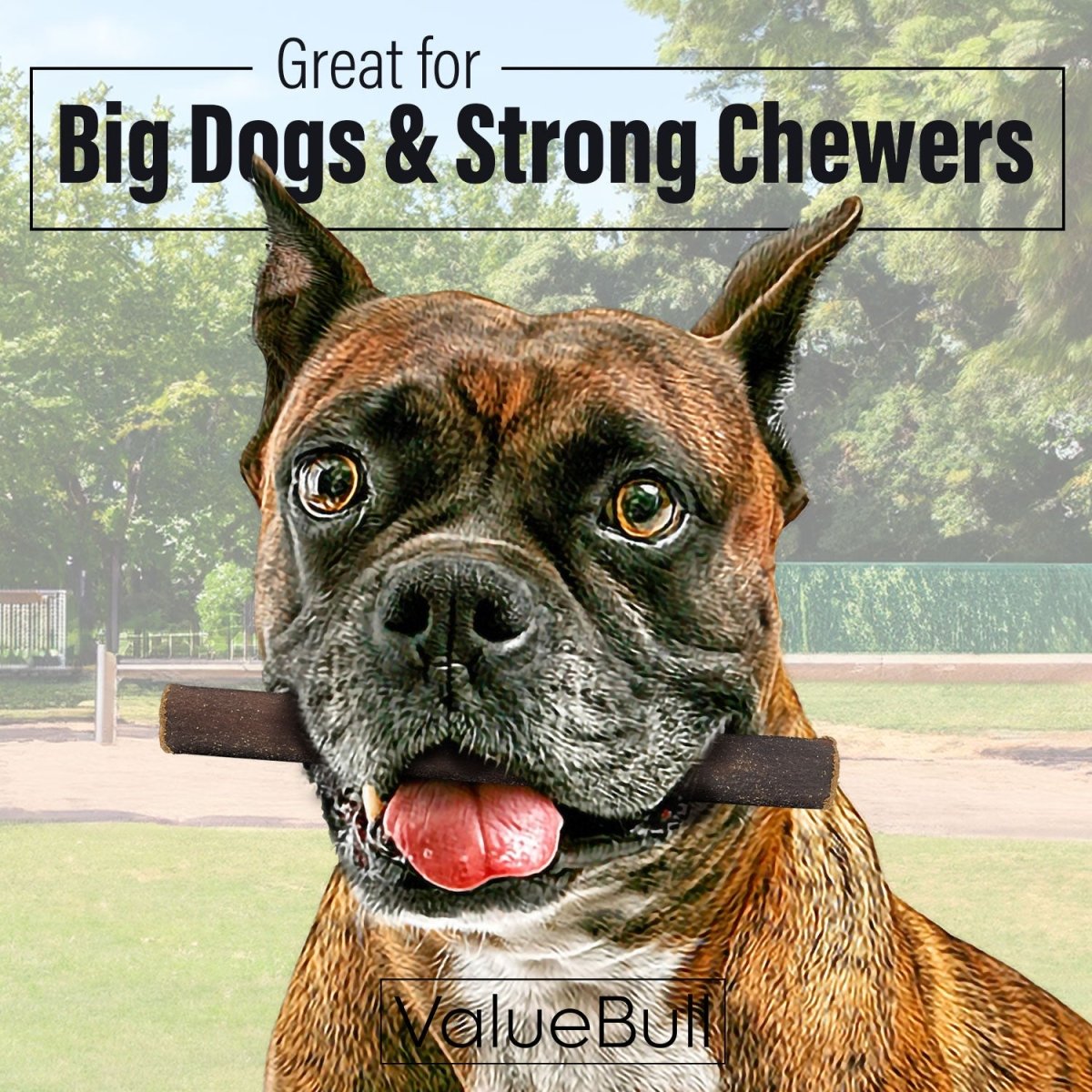 ValueBull Collagen Sticks for Dogs, 6 Inch Thick Chews, Natural Long-Lasting Dog Treats, 50 Count