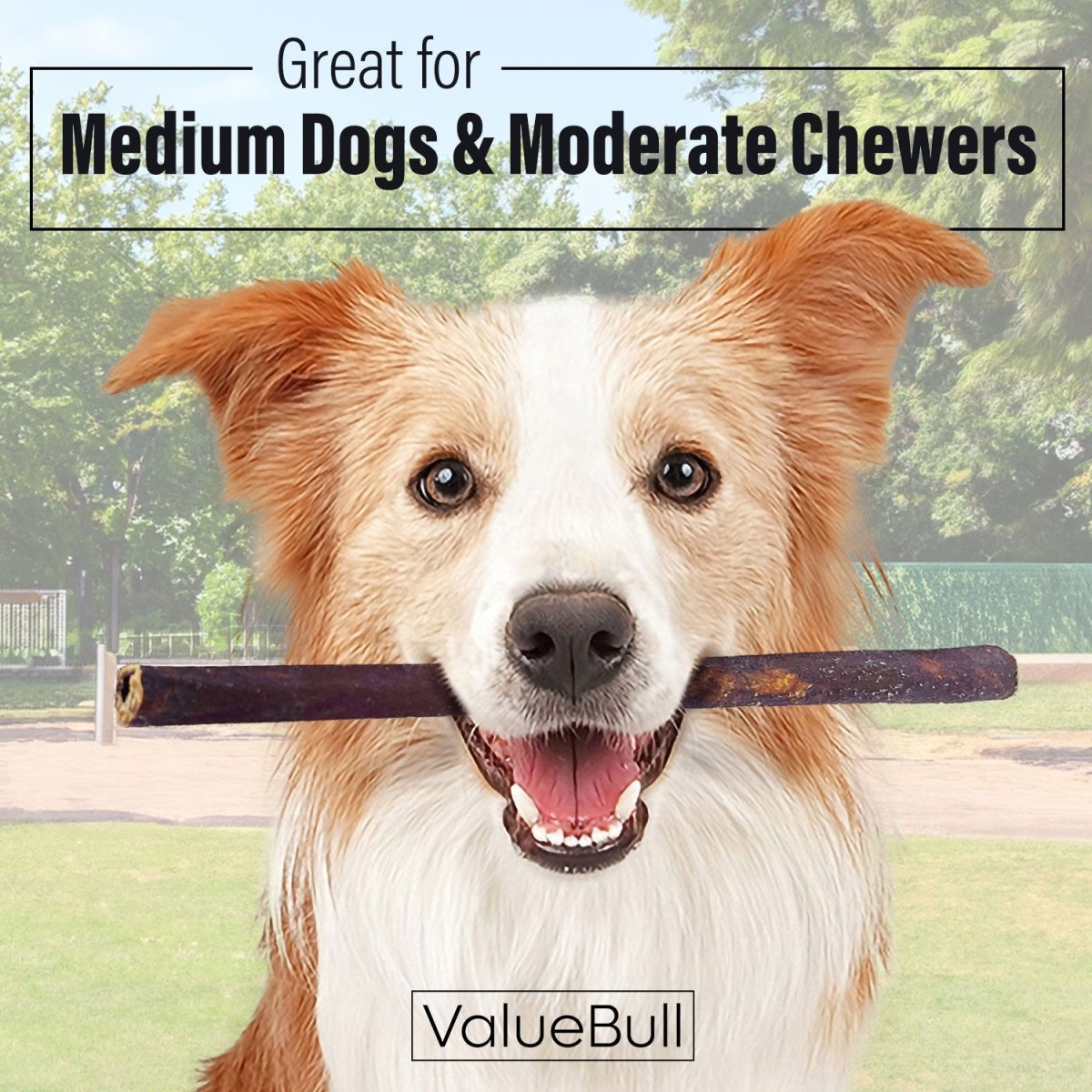 ValueBull Collagen Sticks for Dogs, 12 Inch Medium Chews, Natural Long-Lasting Dog Treats, 25 Count