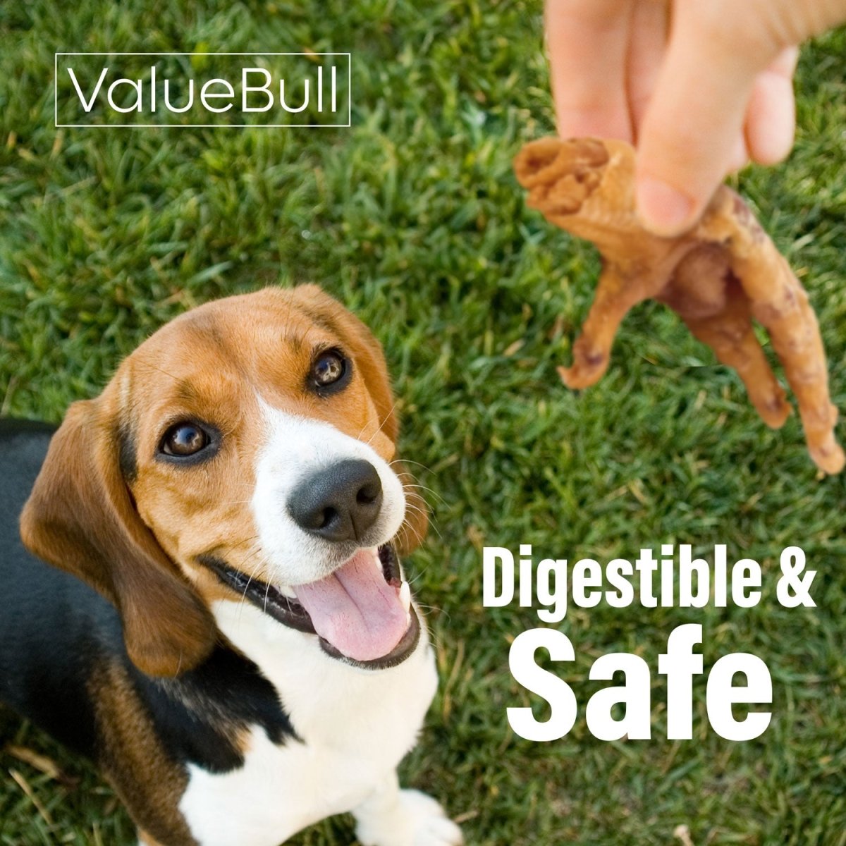 ValueBull Chicken Feet for Dogs, 25 Count