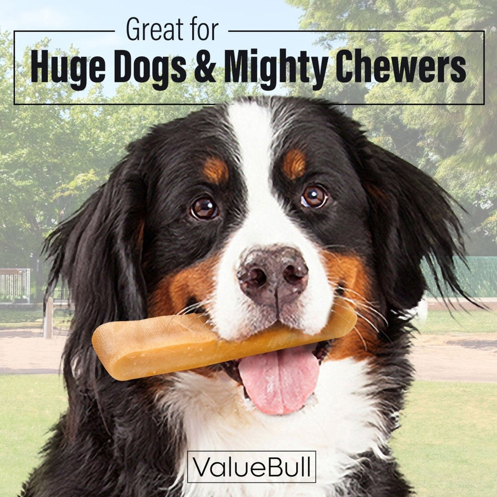 ValueBull Himalayan Yak Cheese Dog Chews, Extra Extra Large, 2 Pound