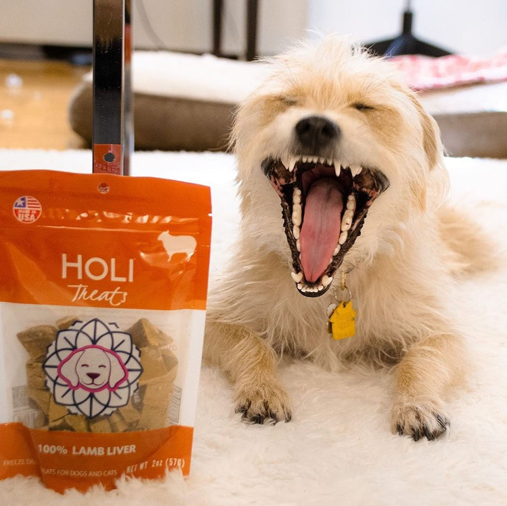 Lamb Liver Dog Treats - Freeze Dried - Single Ingredient