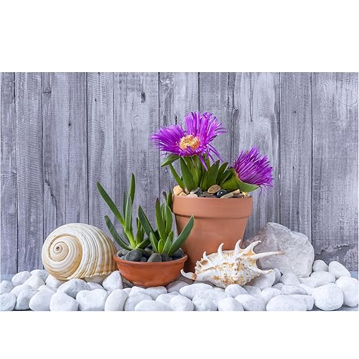 White River Rocks 40lbs, 2 - 3 Inch Natural Unpolished Bulk Pebbles, Hand - Picked Premium Stones for Landscaping and Garden Design Fish Tank, Flower Pots, Pathways and Backyard - PhishStones Products