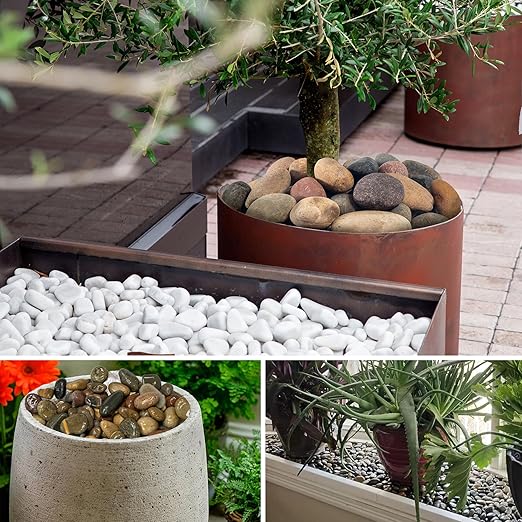 White River Rocks 40lbs, 2 - 3 Inch Natural Unpolished Bulk Pebbles, Hand - Picked Premium Stones for Landscaping and Garden Design Fish Tank, Flower Pots, Pathways and Backyard - PhishStones Products