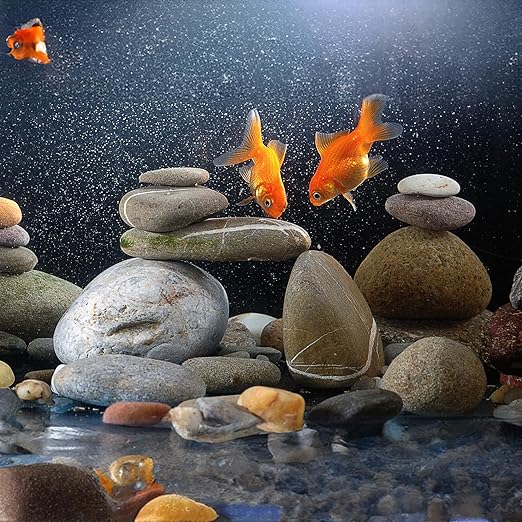White River Rocks 40lbs, 2 - 3 Inch Natural Unpolished Bulk Pebbles, Hand - Picked Premium Stones for Landscaping and Garden Design Fish Tank, Flower Pots, Pathways and Backyard - PhishStones Products