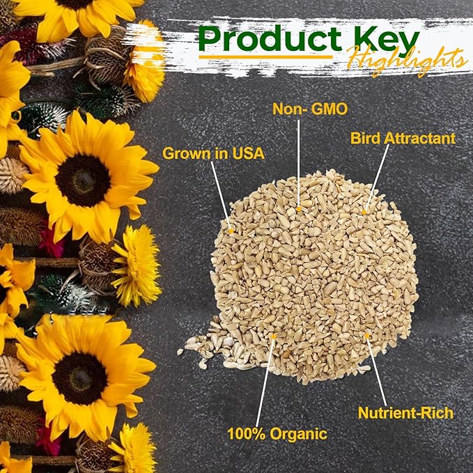 Wildlife Sunflower Hearts & Chips for Bird Feeding and Wildlife Bird attracting, Non - GMO and USA Grown, 12 lbs - PhishStones Products