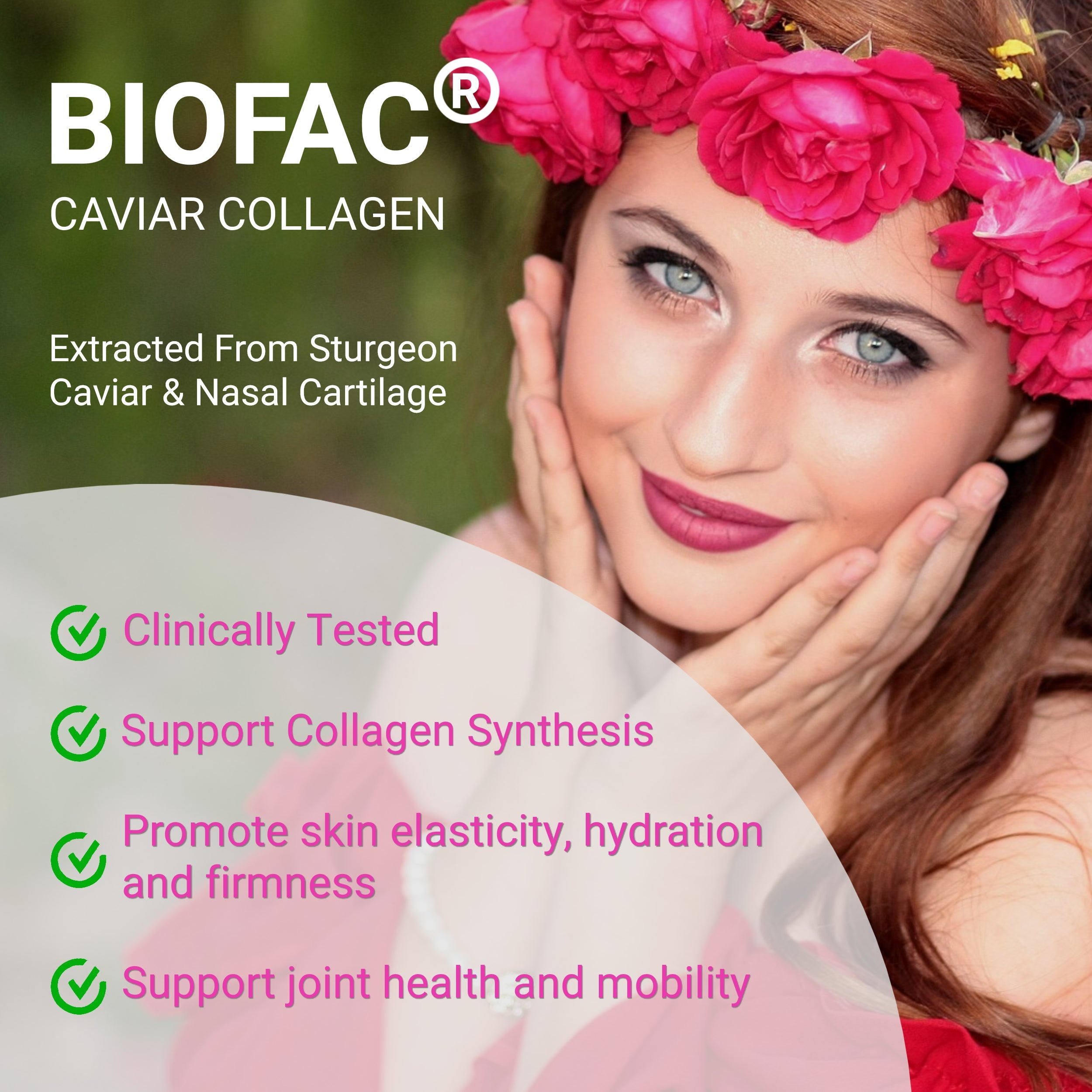 Women's Pre Probiotics Collagen - PhishStones Products
