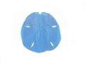 Wooden Rustic Dark Blue Wall Mounted Sand Dollar Decoration 25""