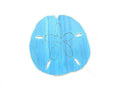Wooden Rustic Light Blue Wall Mounted Sand Dollar Decoration 25""