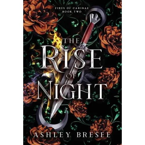 The Rise of Night: A Dark Fantasy Romance - Hardcover
