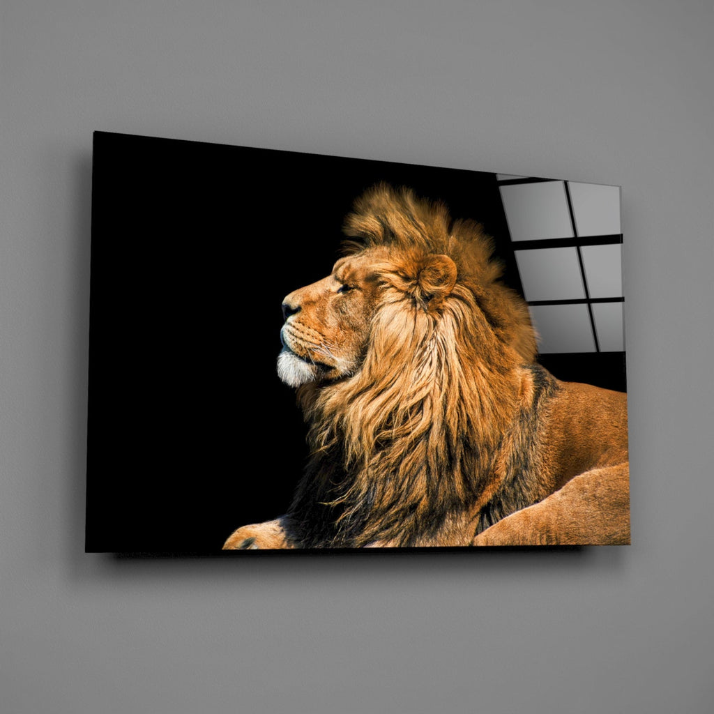 Reclining Golden Lion Profile Glass Wall Art