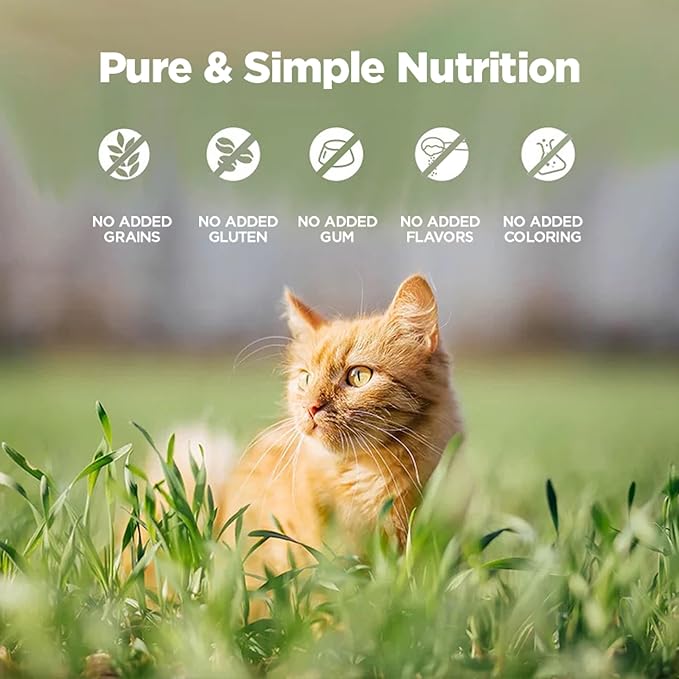 ZEAL New Zealand Wet Cat Food – High Protein, Grain - Free with Superfoods (Venison, 6oz Can, 12 - Pack) - PhishStones Products