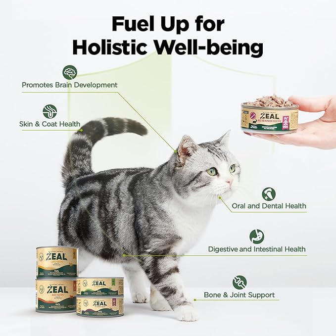 ZEAL New Zealand Wet Cat Food – High Protein, Grain - Free with Superfoods (Venison, 6oz Can, 12 - Pack) - PhishStones Products