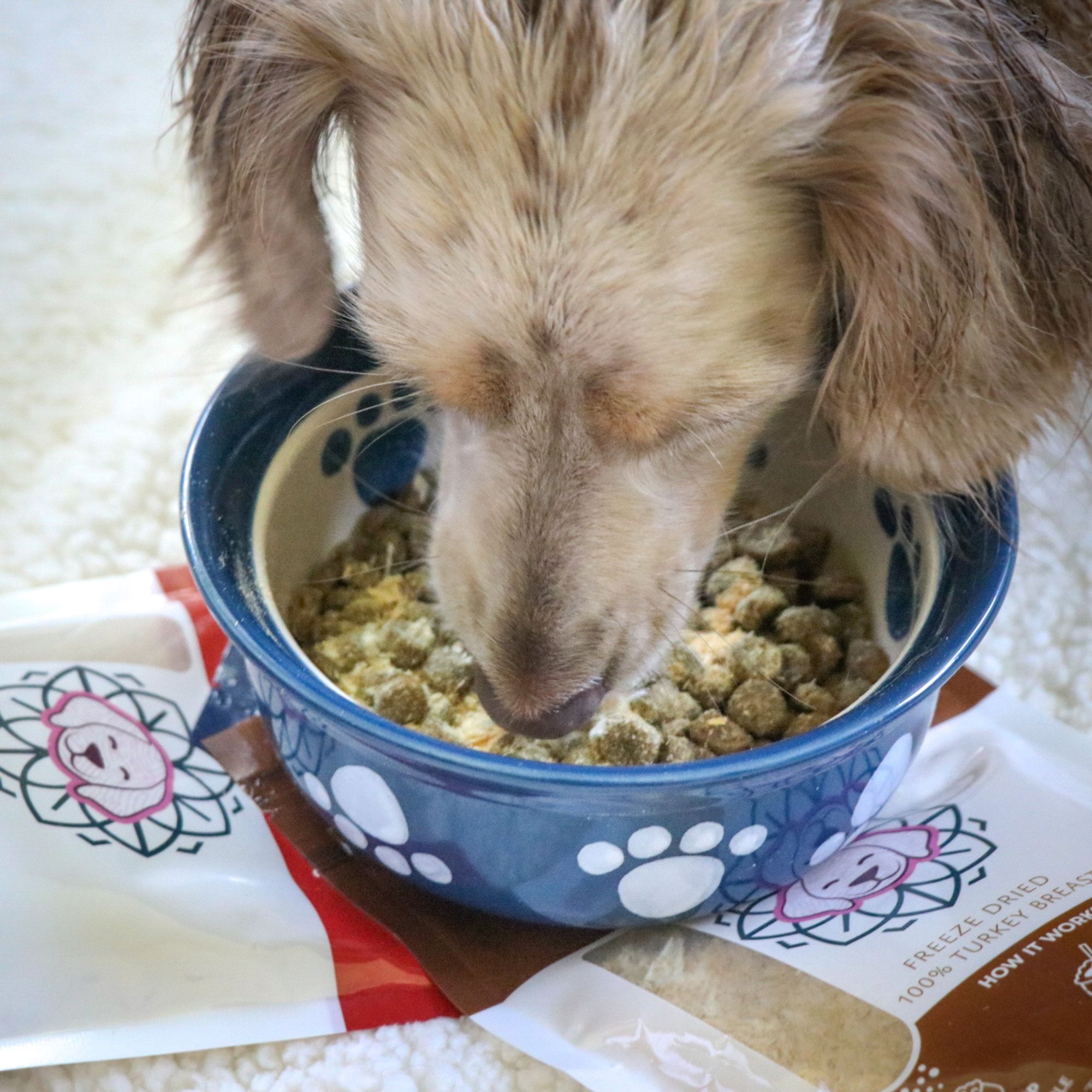 Chicken Breast Dog Food Topper - Freeze Dried - Single Ingredient